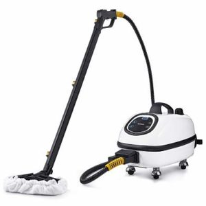 best steam cleaner for commercial use