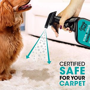top enzyme pet stain carpet cleaner