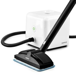 best hardwood floor steam cleaner