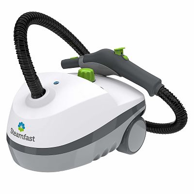 best bed bug steam cleaner reviews